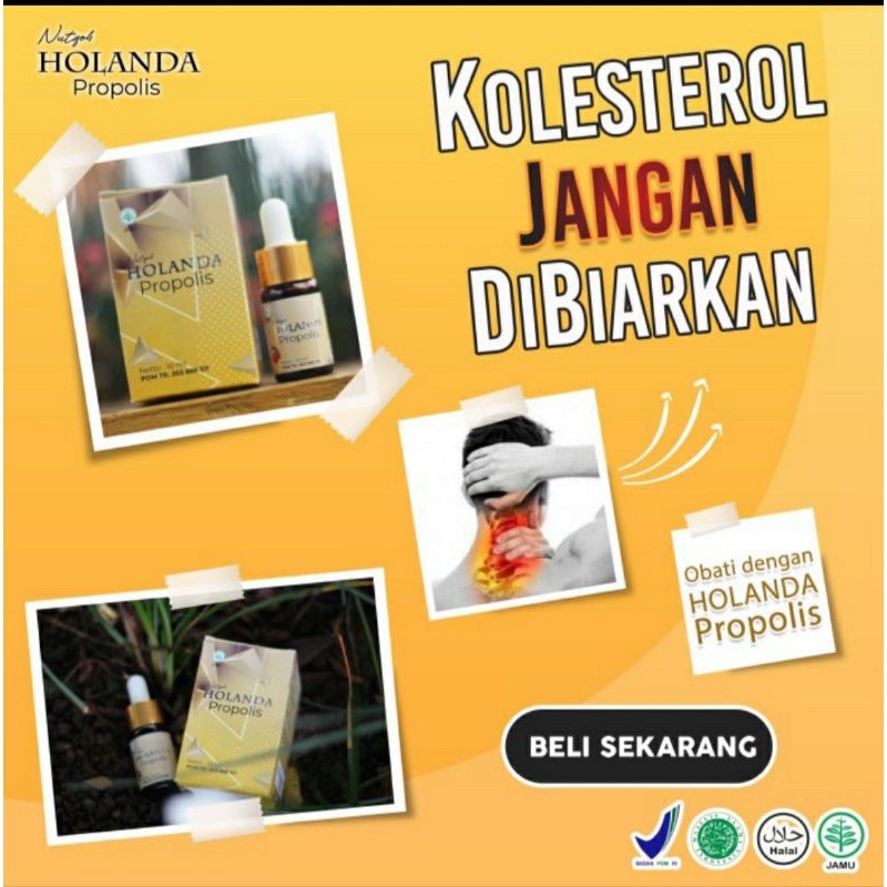 HOLANDA PROPOLIS ORIGINAL 10ML