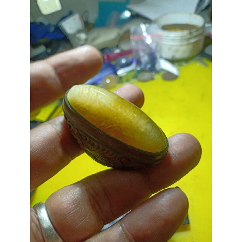 

Pandan nanas ukuran gede