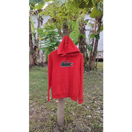 Hoodie lacoste big logo orange (ORI)