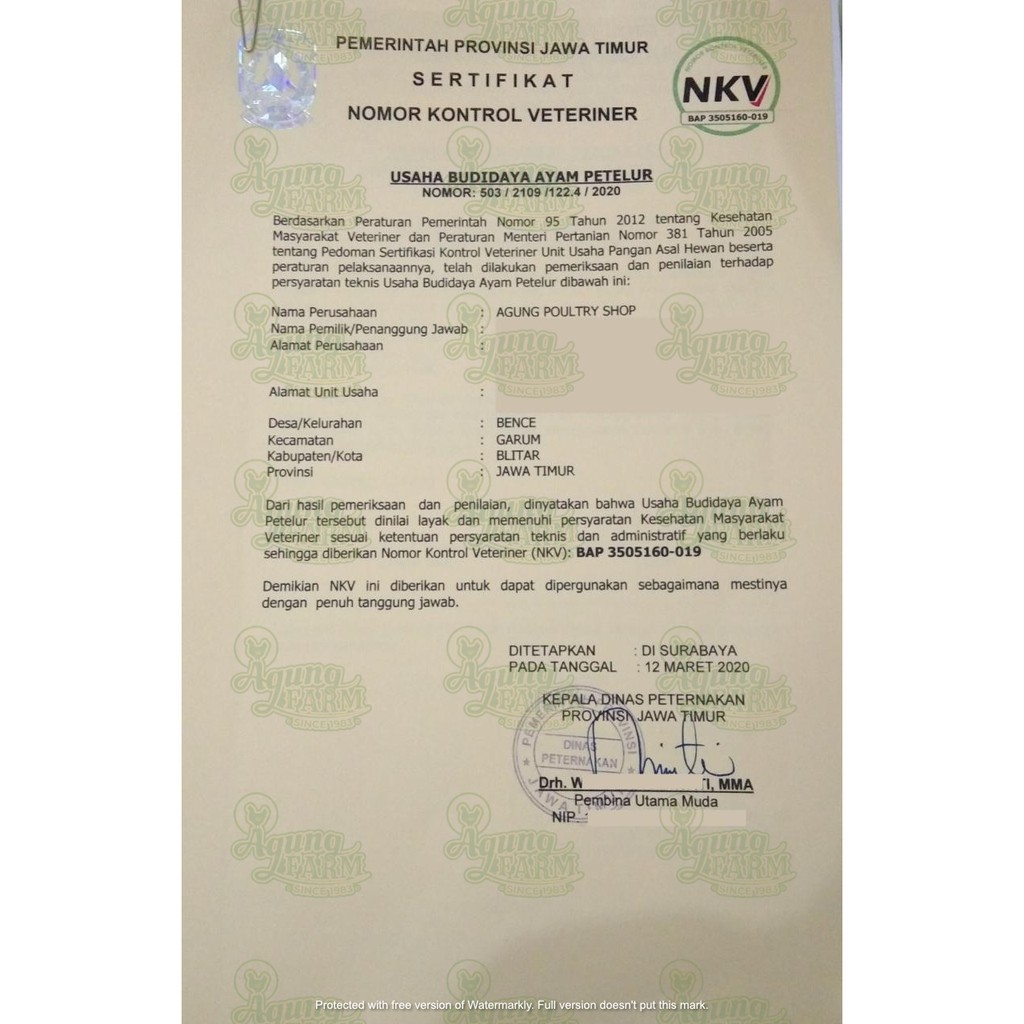 

RB Telur Agung Farm Telur Ayam Negri Negeri per kg Curah Segar dari Kandang NKV