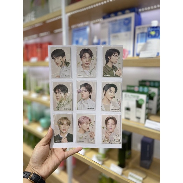 Official PC Haechan Doyoung Jungwoo NCT127 Cica Greenderma