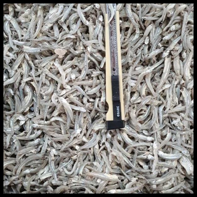 

Ikan Teri Nasi Lampung Biru Per 500Gr
