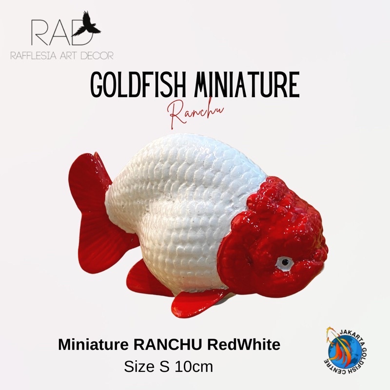 PATUNG IKAN KOKI RANCHU REDWHITE ( size S: 10cm )