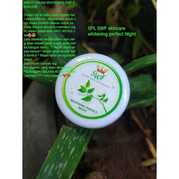 NIGHT CREAM SWF SKINCARE/CREAM MALAM SWF SKINCARE