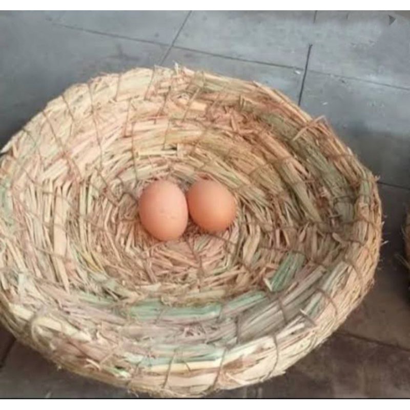 SARANG JERAMI AYAM tempat bertelur ayam sangkar jerami