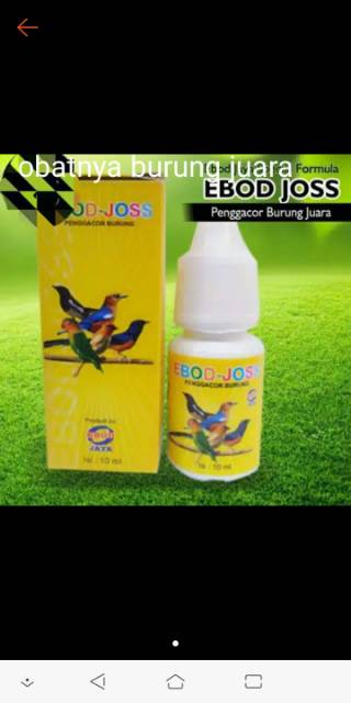 Ebod joss