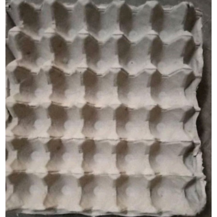 egg tray Tempat Telur Bekas satu pcs