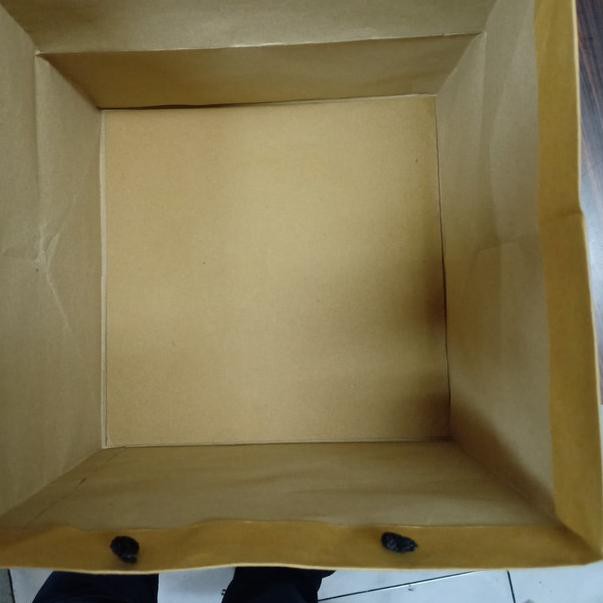 

paper bag coklat polos P26 x L26 x T20 (harga per lusin)