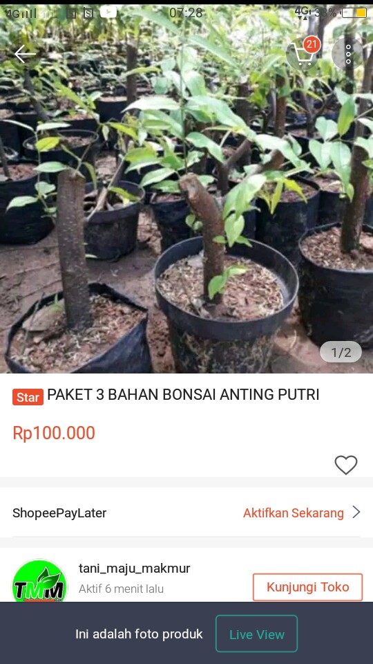 Paket 3 Bahan Bonsai Anting Putri