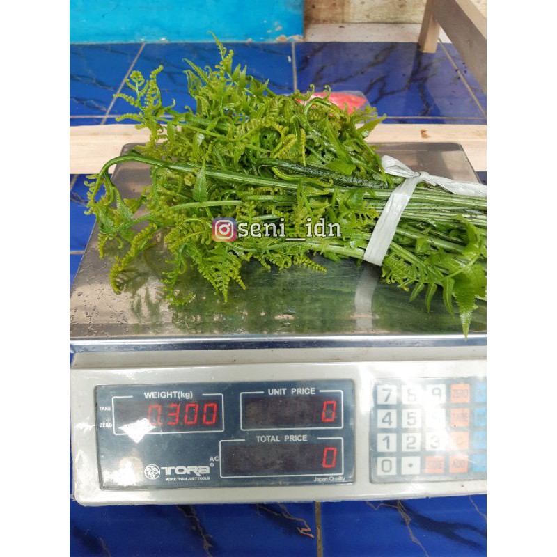 

Sayur Pakis / Fakis 300 gram