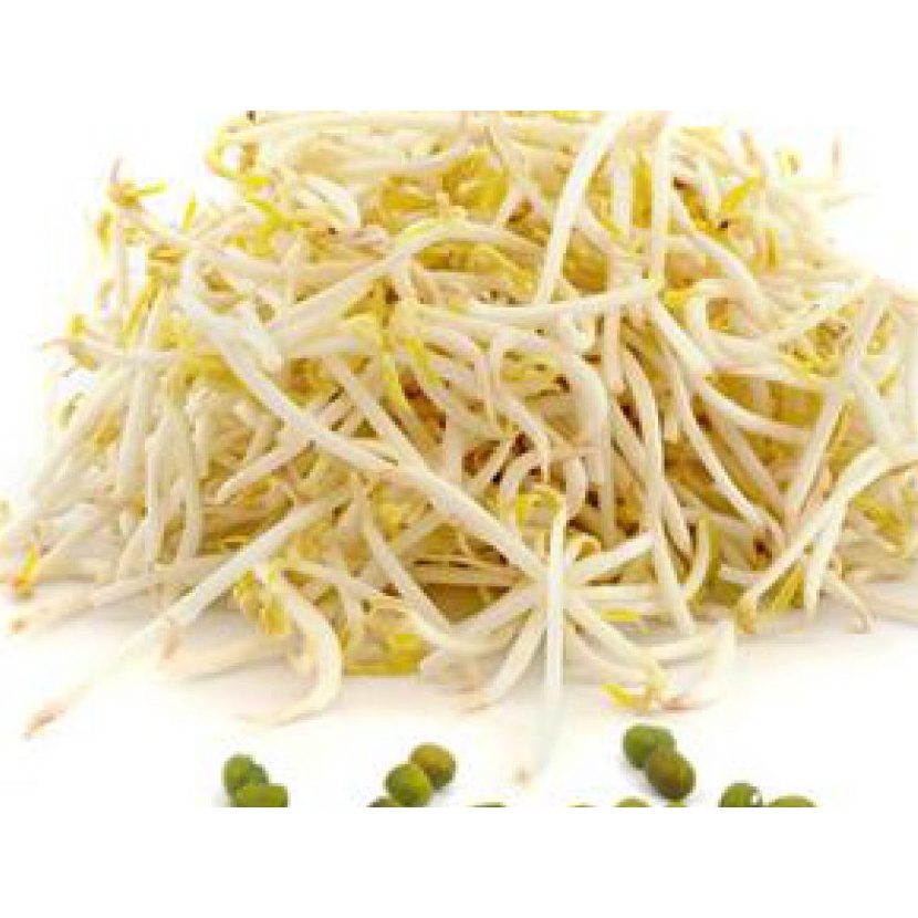 

TAUGE / TOGE / CAMBAH / KECAMBAH / KECAMBAH PANJANG 250gram