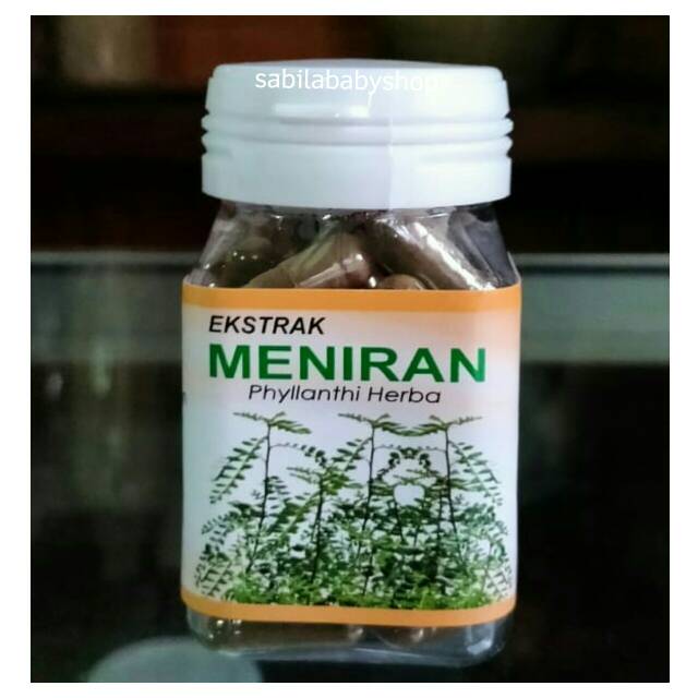 

Kapsul Meniran Sringanis Isi 50 kapsul