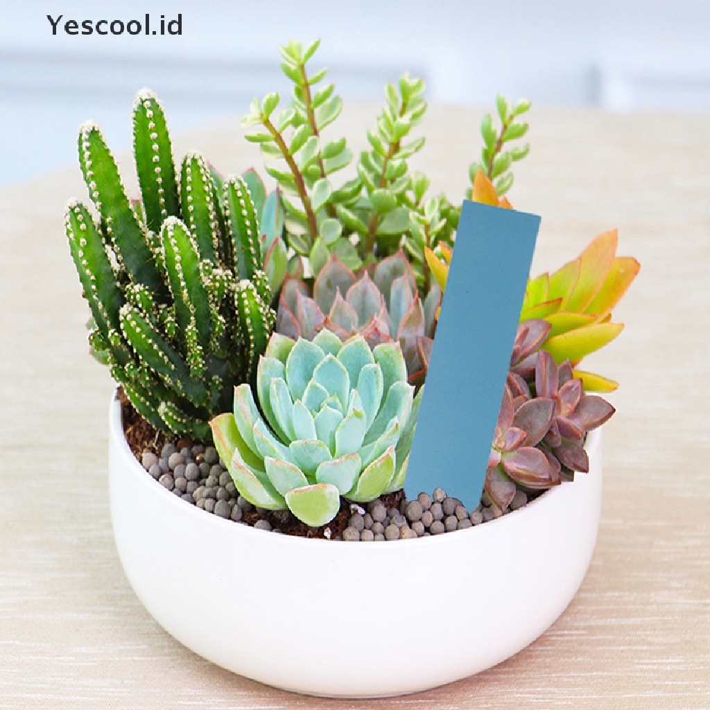 50 Pcs Label Penanda Pot Tanaman Bahan Plastik Untuk Taman