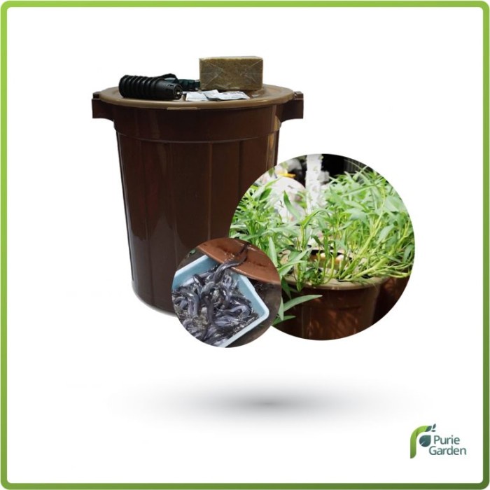 PAKET HEMAT BUDIKDAMBER PAKET LENGKAP AQUAPONIK BUDIDAYA IKAN DALAM EMBER 70 LITER !!