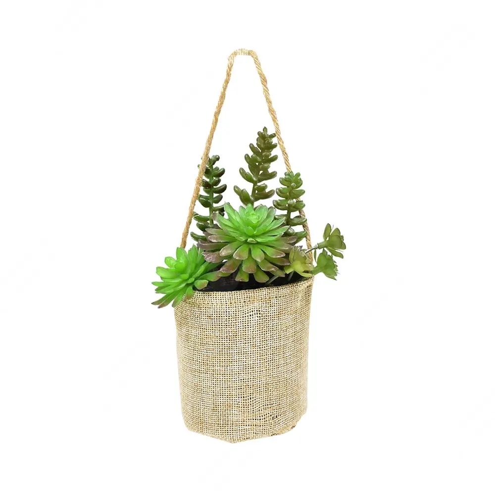 ACE Arthome 17 Cm Tanaman Artifisial Sukulen Crassula Dengan Pot