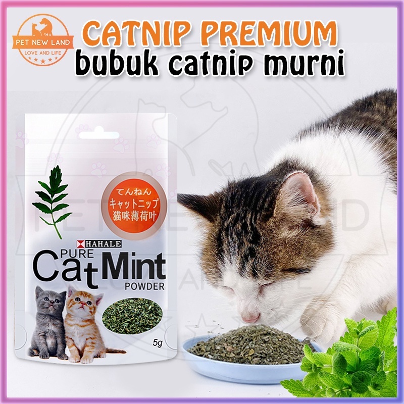 Catnip Catmint Snack Kucing Pure Cat Mint Powder Cemilan Hewan Peliharaan