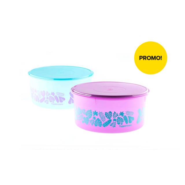 Tupperware original 100% Carry All Canister (2)