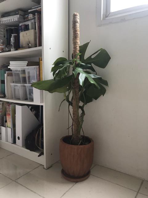 Turus/penyangga 90 Cm