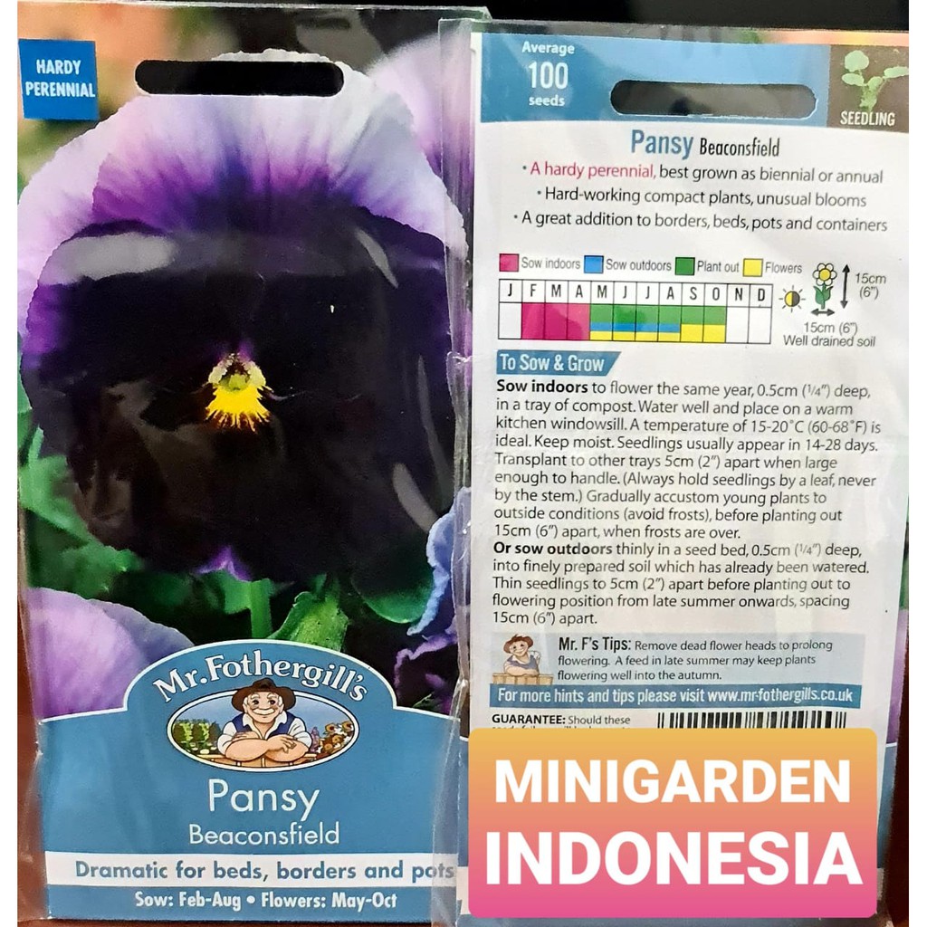 Benih Bunga PANSY BEACONSFIELD PACK 100 BIJI bibit bunga import f1 Mr.Fothergills