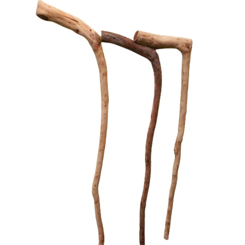 Tongkat jalan stigi asli 1mtr bahan tongkat stigi laut alat bantu jalan lansia  tongkat jalan