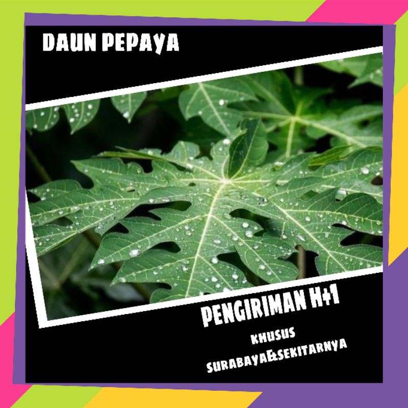 

daun pepaya per ikat || sayur online murah surabaya