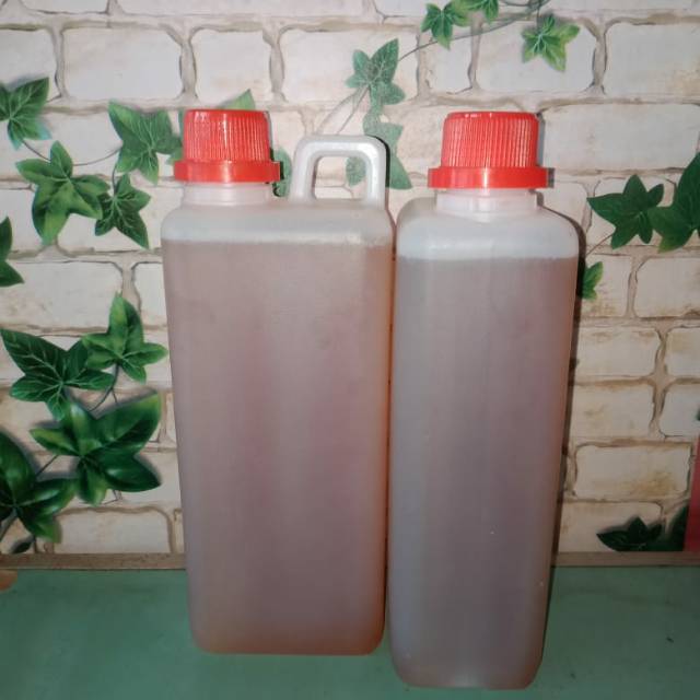 

Madu wanyi asli hutan Kalimantan 1liter