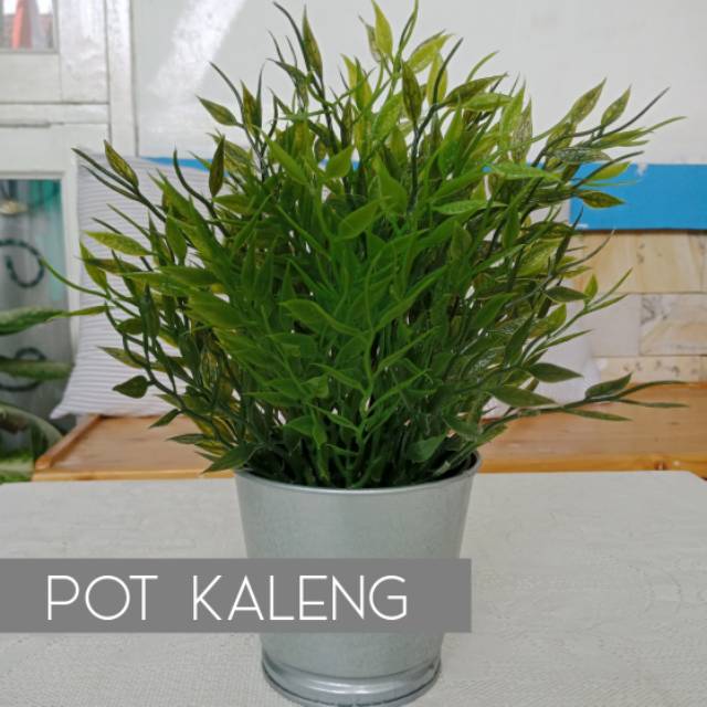 Pot Kaleng