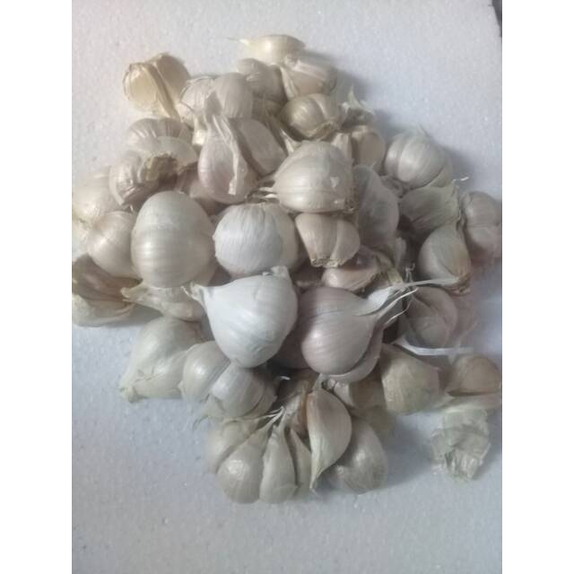 

KATING / BAWANG PUTIH KATING / 500 gr /17.500
