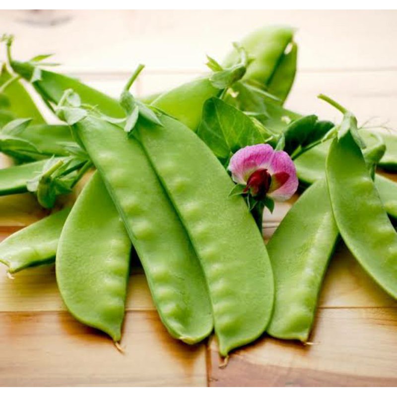 

sayur arcis/Pisum sativum/kacang arcis segar