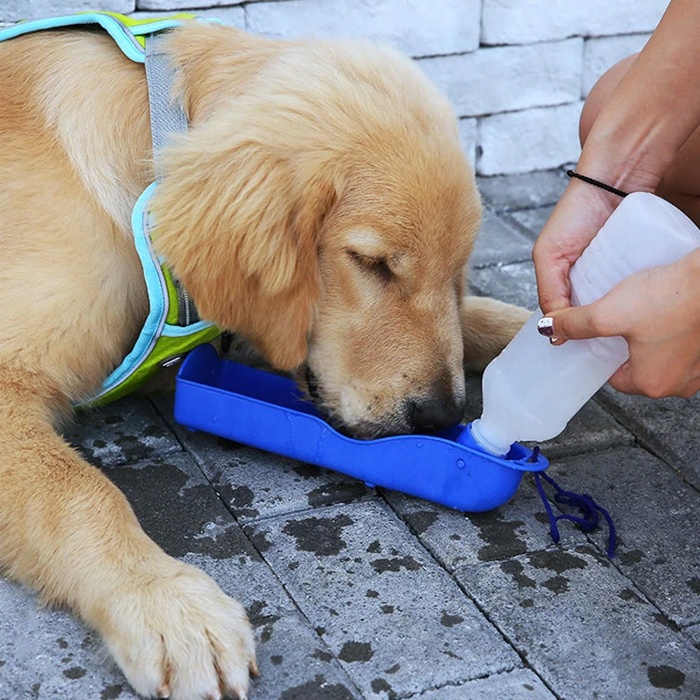 Baru Hewan Peliharaan Lipat Peminum 250 Ml Anjing Peliharaan Kucing Luar Ruangan Portabel Botol Minum Mangkuk Hewan Peliharaan Perjalanan Peminum