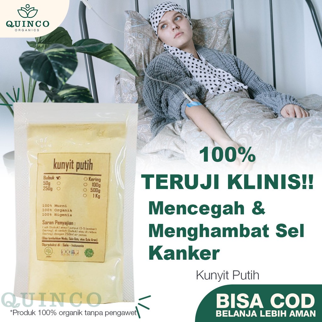 

Turmeric R06 kunyit kunir putih obat minuman rempah herbal curcuma curcumin PUTIH bubuk 100 gram JSR