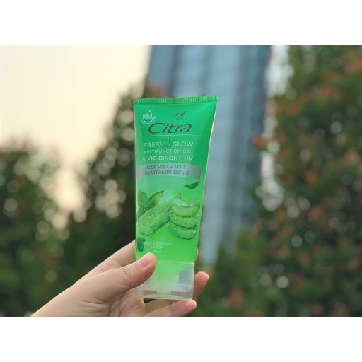 [GROSIR] CITRA multifunction gel aloevera 180ml