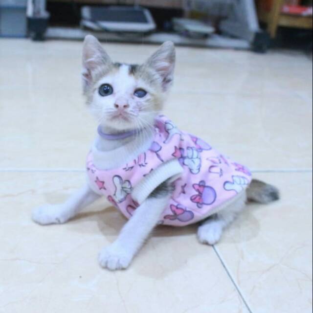 Kaos pink motif bintang lucu untuk kucing dan anjing / kaos kucing murah size S M L XL