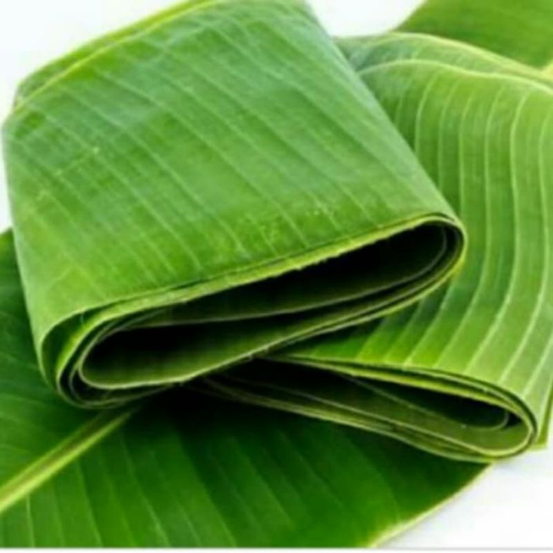 

DAUN PISANG BATU ATAU KLUTUK SEGAR TERMURAH