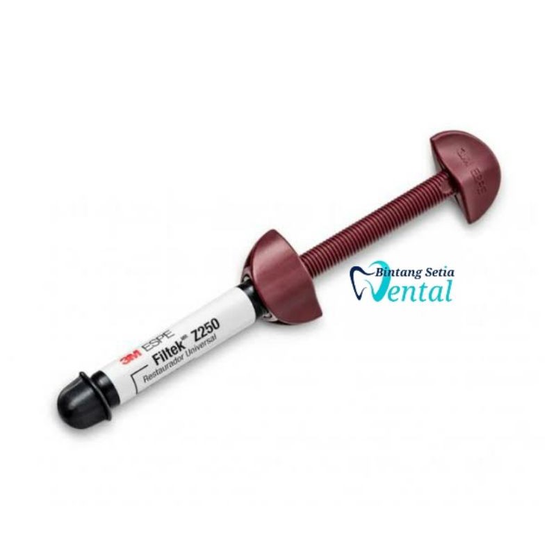 Composite 3M Z250 / Z250