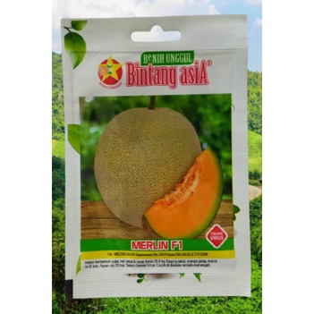 Promo Benih Melon Hibrida Daging Orange MERLIN F1 Berkualitas