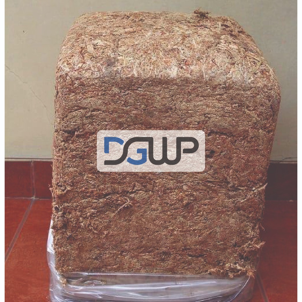 TERMURAH Sphagnum Moss Chile 5kg Media Tanam Seedling Tanaman Bunga Anggrek by FYENKSHOP