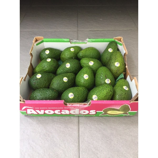 

Alpukat / Avocado Hass New Zealand 1 Dus (5 Kg) Fresh Import