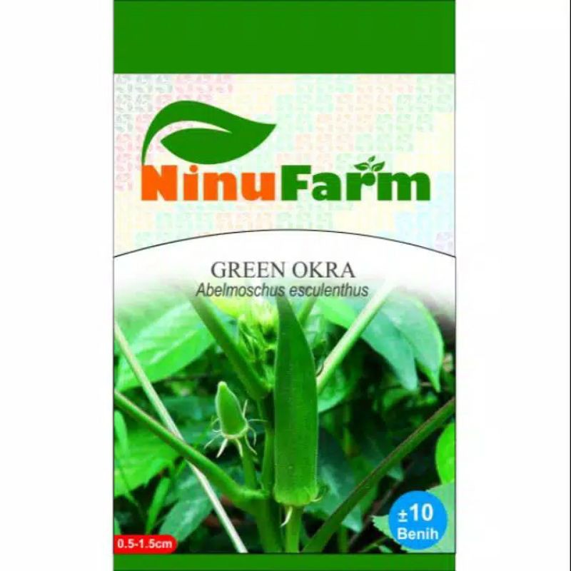 BENIH GREEN OKRA / BIBIT OKRA HIJAU // Tanaman Hias Murah Bunga Hias Bunga Kering Aglonema