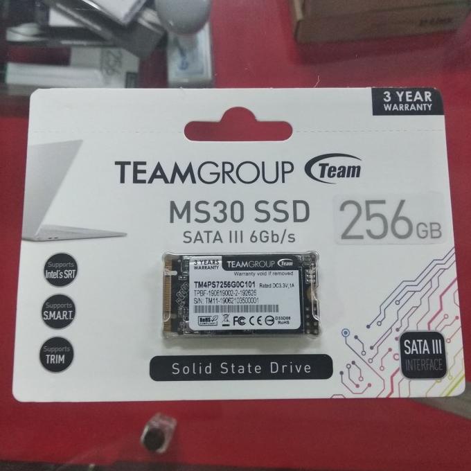 JUAL Team M2 SSD 2242 MS30 SATA 256GB