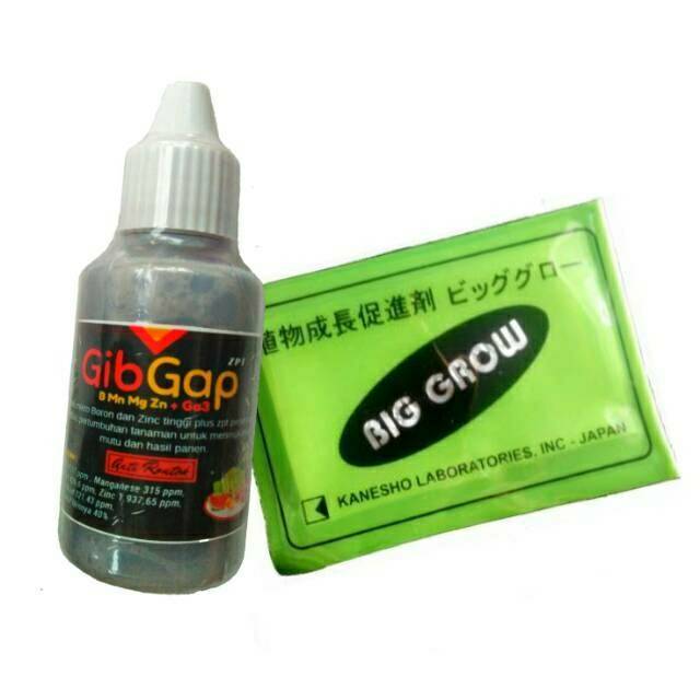 Paket pembesar buah naga BIGGROW GIBGAP zpt hormon pupuk