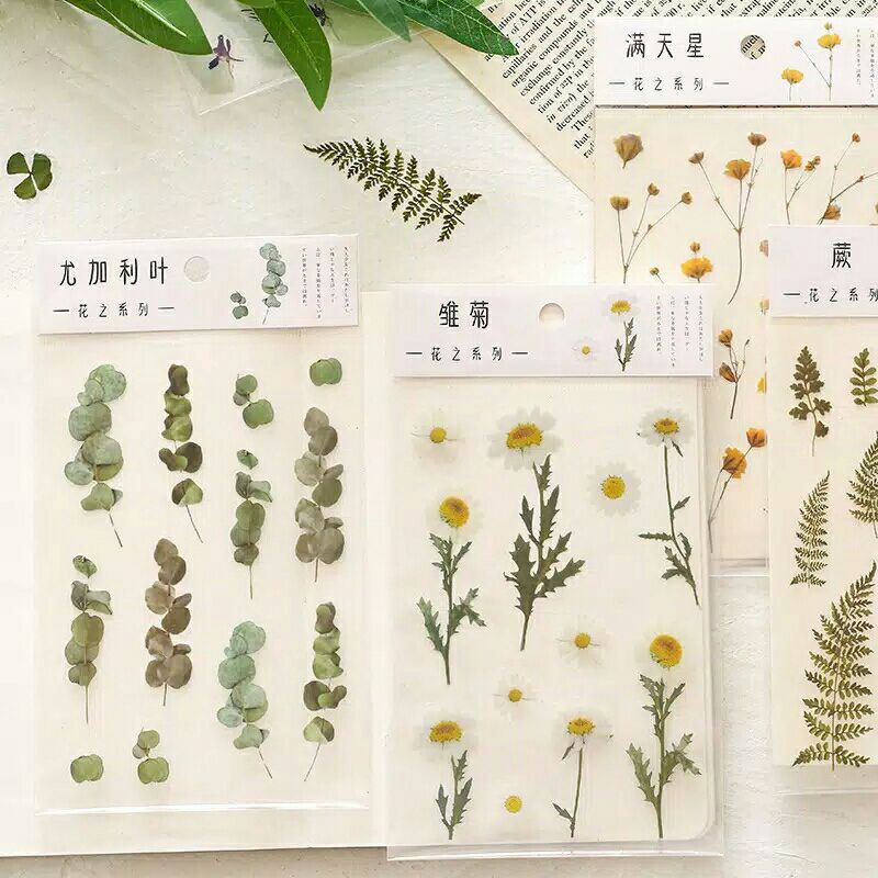 

Stiker Transparant Flower | Stiker Aesthetic | Sticker Bujo untuk journal studygram ( Ridhl Stuff )