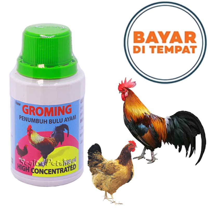 Vitamin Ayam Penumbuh Bulu Rontok Groming