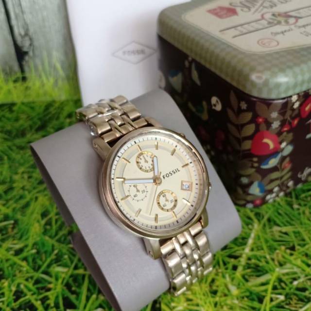 Fossil watch