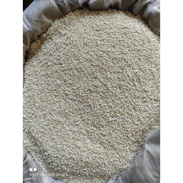 

WIJEN PUTIH SUPER 1kg