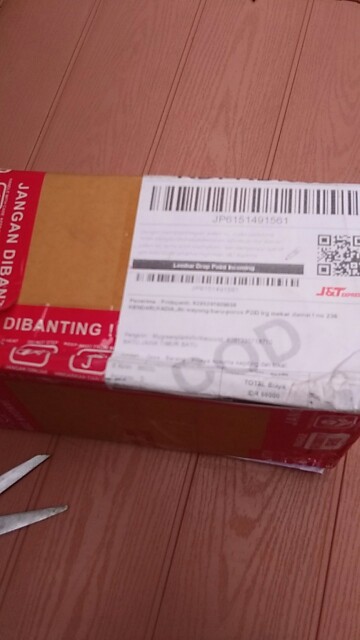 Tanaman Wijaya Kusuma Kepiting Ungu