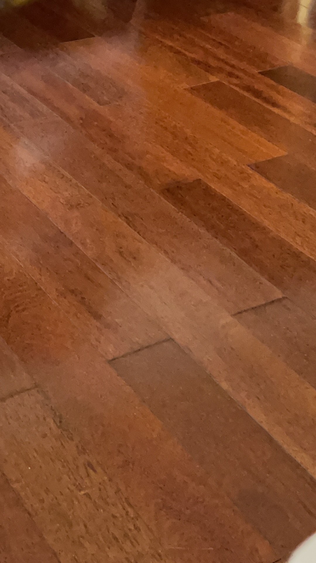 Sendok Plastik Bentuk Spade / Cangkul Kue Sendok Ulang Tahun Buah Buahan Dapur Oms Prestonlast