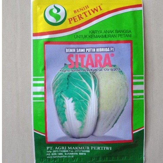 10 gr Benih Sawi Putih Jumbo SITARA Bibit Petsai Dataran Menengah Atas Pertiwi