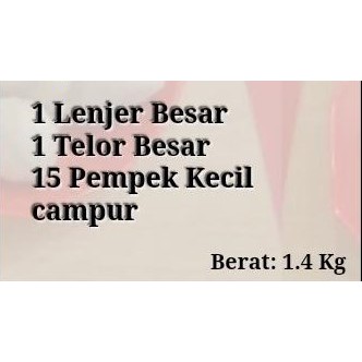 

Paket Nony B-1