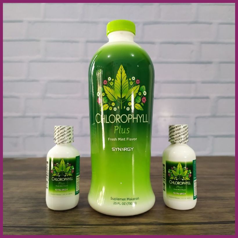 HERBAL/SUPLEMEN MEMBERSIHKAN DARAH Chlorophyll Plus Synergy